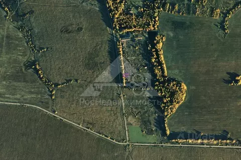 Участок в Владимирская область, Юрьев-Польский муниципальный округ, с. ...