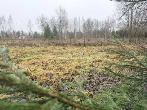 Участок в Московская область, Клин городской округ, д. Савино  (24.8 ...