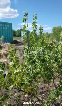 Участок в Ростовская область, Ростов-на-Дону Огородник ОНТ, ул. 3-я ...