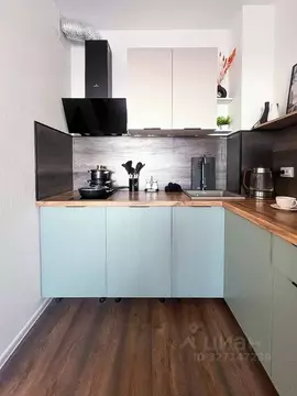 1-к кв. Санкт-Петербург ул. Пейзажная, 24к1 (31.3 м)