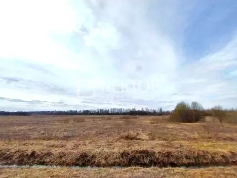 Участок в Костромская область, Костромской район, Апраксинское с/пос, ...