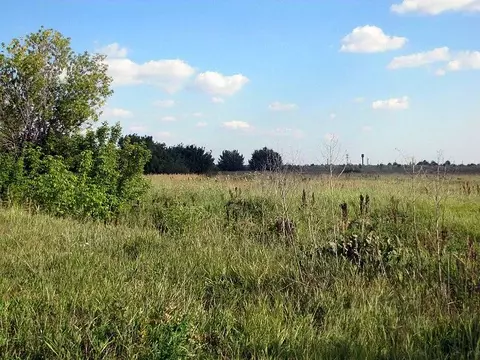 Участок в Московская область, Егорьевск муниципальный округ, д. ...