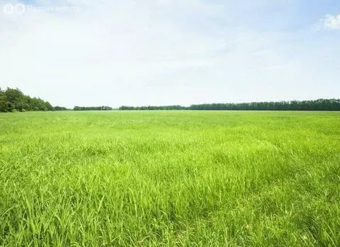 Участок в Усть-Абаканский район, посёлок Тепличный (10 м)