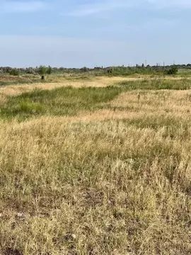 Участок в Ростовская область, Азовский район, Елизаветинское с/пос, ...