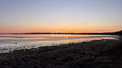 Участок в Ханты-Мансийский АО, Ханты-Мансийск Светлана СОТ,  (6.0 ...