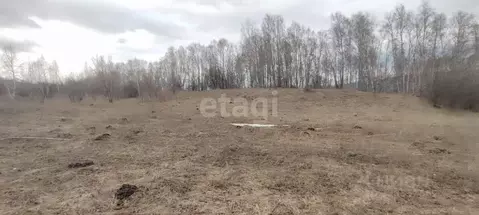 Участок в Алтайский край, Алтайский район, пос. Катунь  (20.0 сот.)