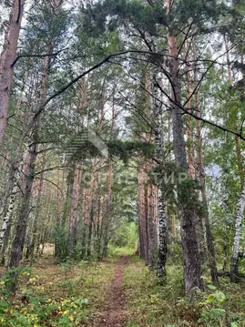 Участок в Свердловская область, Полевской муниципальный округ, пос. ...