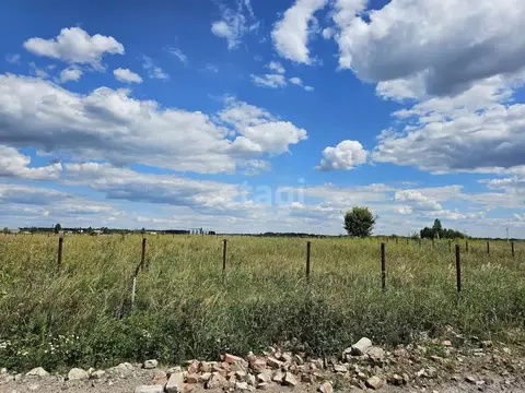 Участок в Тамбовская область, Тамбов городской округ, д. Лужки  (48.8 ...
