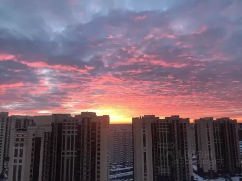 2-к кв. Москва Внуковское поселение, ул. Анны Ахматовой, 8 (65.0 м)