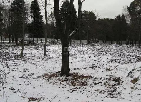 Продается участок в г. Дедовск