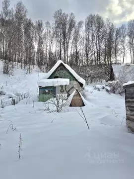 Участок в Новосибирская область, Новосибирский район, Плотниковский ...