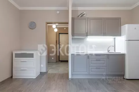 Студия Санкт-Петербург ул. Грибалевой, 7к3 (31.0 м)