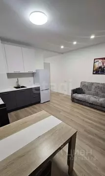 Студия Тюменская область, Тюмень ул. Юрия Рогачева, 9к2 (26.2 м)