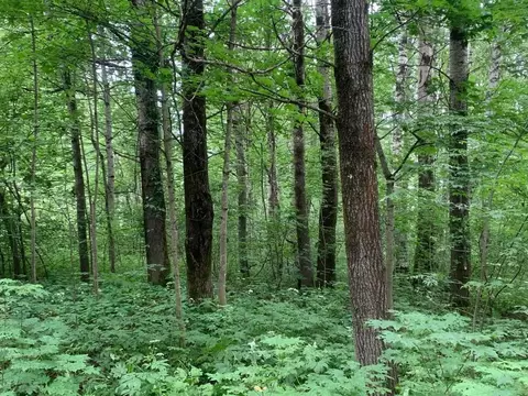 Участок в Московская область, Истра ул. Ленина, Река Истра (20.38 ...