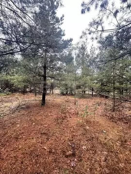 Участок в село Староживотинное, улица Владимира Семёнова (10 м)