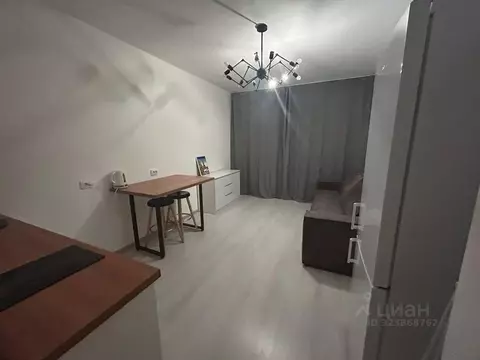 Студия Санкт-Петербург ул. Новосергиевская, 3 (25.0 м)