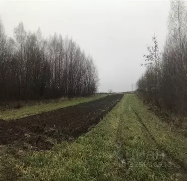 Участок в Московская область, Зарайск муниципальный округ, д. ...