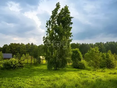 Участок в Ленинградская область, Ломоносовский район, Низинское с/пос, ...