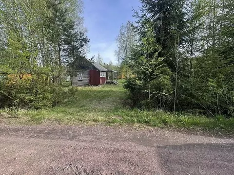 Участок в Ленинградская область, Выборгский район, Рощинское городское ...