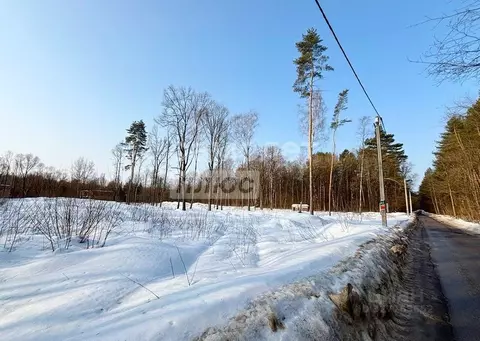 Участок в Московская область, Чехов Дорожная ул. (6.6 сот.)