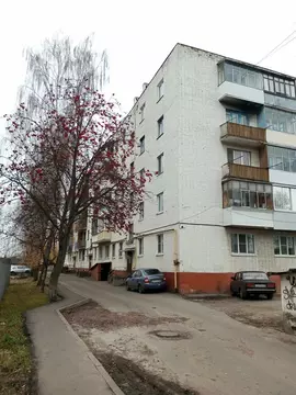 2-комнатная квартира: Орёл, улица Спивака, 18 (39.3 м)