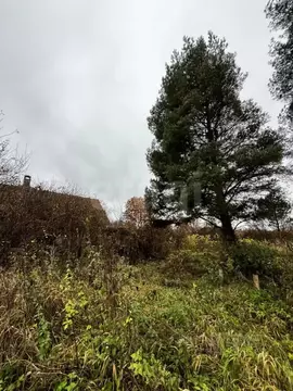 Дом в Калининградская область, Полесский муниципальный округ, пос. ...