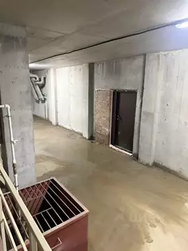 Помещение свободного назначения в Новосибирская область, Новосибирск ...