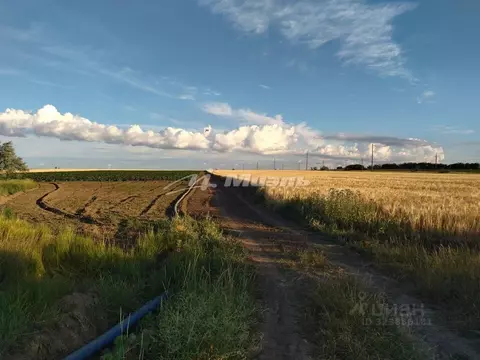 Участок в Крым, Красноперекопский район, Вишневское с/пос, с. Уткино ...
