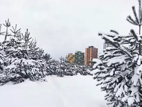 Студия Московская область, Химки городской округ, д. Рузино, ...