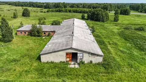 Склад в Новосибирская область, Мошковский район, с. Барлак  (1931 м)