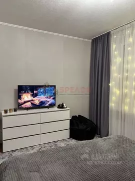 Студия Ростовская область, Ростов-на-Дону ул. Еременко, 101 (24.5 м)