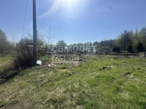 Участок в Нижегородская область, Бор Сельхозтехника СНТ, 111 (5.0 ...