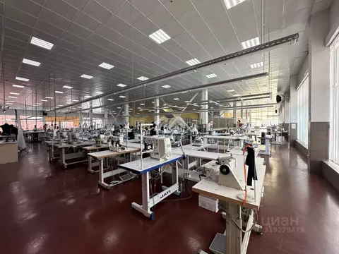 Помещение свободного назначения в Новосибирская область, Новосибирск ...