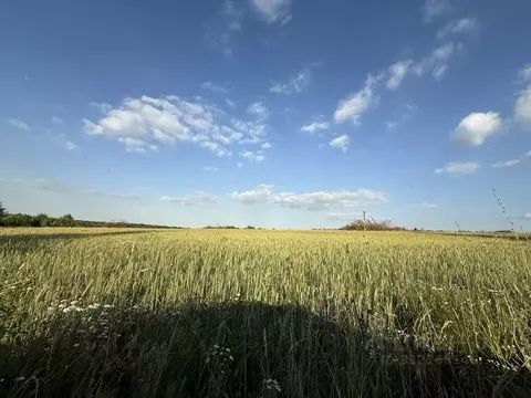 Участок в Московская область, Кашира городской округ, д. Кишкино, ...