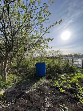Участок в Башкортостан, Октябрьский Росинка СНТ,  (4.0 сот.)