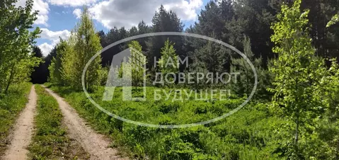 Участок в Пермский край, Чайковский городской округ, д. Дубовая ул. ...