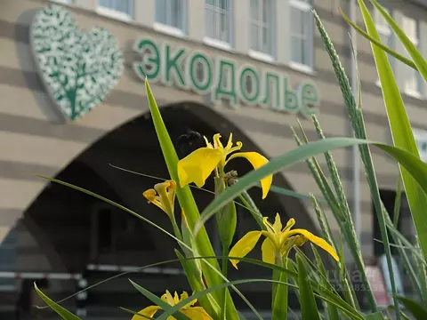 Таунхаус в Оренбургская область, Оренбургский район, с. Ивановка ул. ...