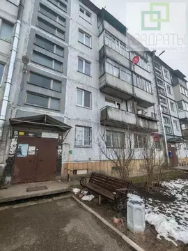 2-к кв. Ленинградская область, Лужский район, Володарское с/пос, пос. ...