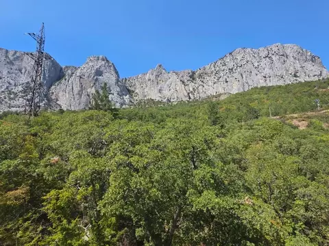 Участок в Крым, Ялта муниципальный округ, Санаторное пгт ул. Гагарина, ...