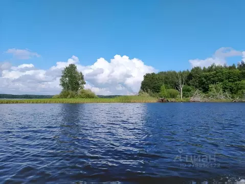 Участок в Тверская область, Осташковский муниципальный округ, д. ...