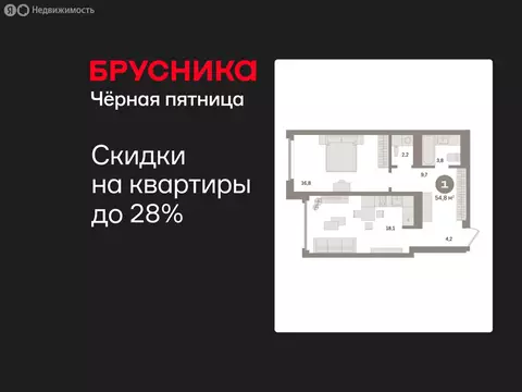 1-комнатная квартира: Екатеринбург, улица Советских Женщин (54.8 м)