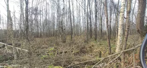 Участок в Московская область, Талдомский городской округ, д. Бурцево  ...