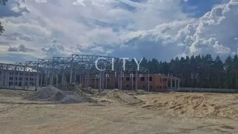 Склад в Тюменская область, Тюменский район, Боровский пгт ул. ...