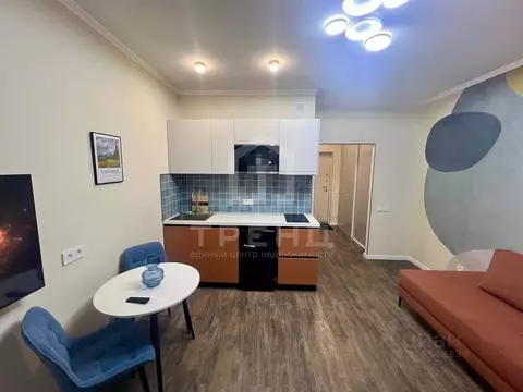 Студия Санкт-Петербург ул. Парфеновская, 7к1 (27.0 м)