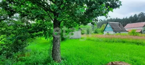 Участок в Брянская область, Брянский район, Стекляннорадицкое с/пос, ...