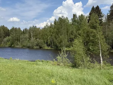 Участок в Московская область, Волоколамский муниципальный округ, Эко ...