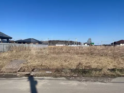 Участок в Тюменская область, Тюмень СОСН Березовое Озеро тер., ул. ...