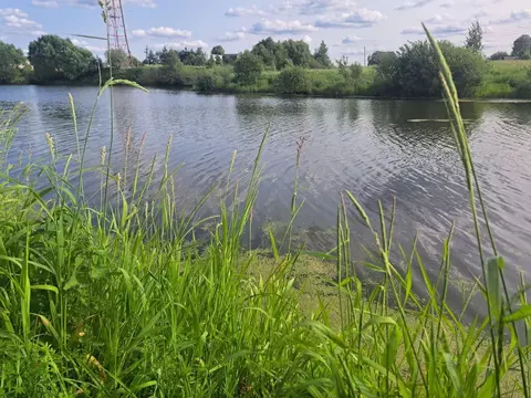 Участок, 6.5 сот., поселения (ижс)