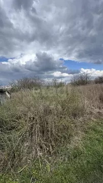 Участок в Брянская область, Брянский район, Снежское с/пос, с. ...