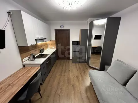 Студия Санкт-Петербург пос. Шушары, просп. Старорусский, 5к2 (20.5 м)